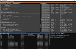 RemedyBG screenshot 1