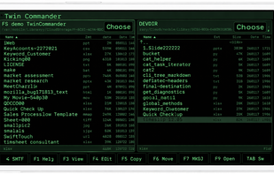 Twin Commander screenshot 1