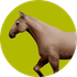 Horse icon
