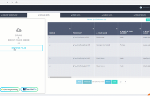 VizualSurvey screenshot 2
