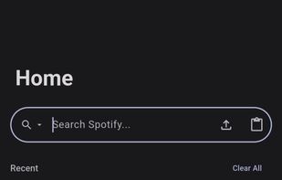 SpotiFLAC Mobile screenshot 1