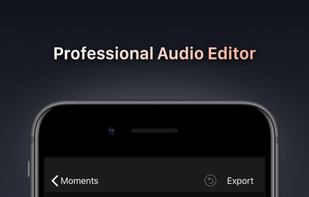 Voice Recorder Pro screenshot 2