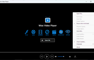 Wise Video Player screenshot 2