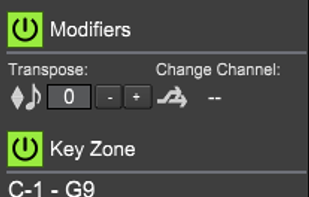 audioström LiveProfessor screenshot 3