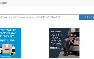 flvto.video screenshot 1