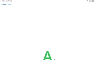 Zen Tuner screenshot 1