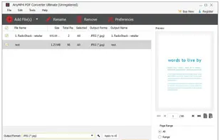 AnyMP4 PDF Converter screenshot 1