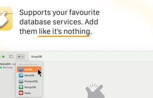 SnapDB App screenshot 1