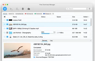 Free Download Manager screenshot 1