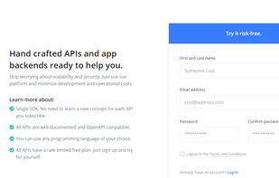 Prompt API screenshot 1