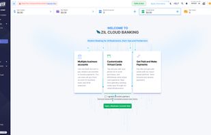 Zil Money screenshot 1