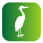 Find Clarity icon