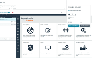 BeyondTrust screenshot 1