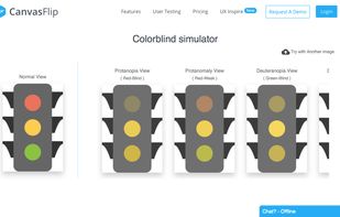 CanvasFlip - Colorblind Simulator screenshot 1