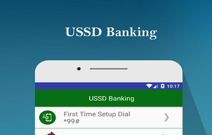 Bank Balance Check screenshot 3