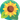 Hidamari icon