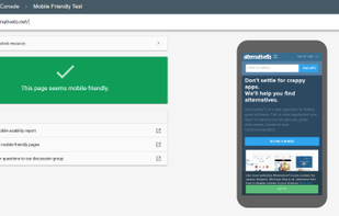 Google Mobile Friendly Test screenshot 1