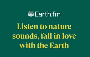 Earth.fm screenshot 1