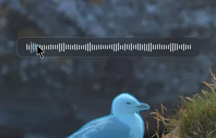 SAM Audio screenshot 3