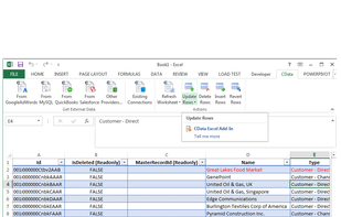 CData  Excel Add-Ins screenshot 1