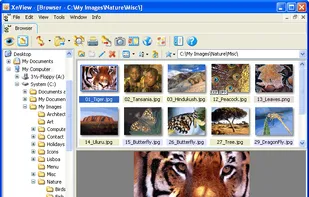 Browser Window (windows version)