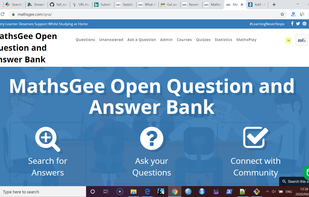 MathsGee questions screenshot 1