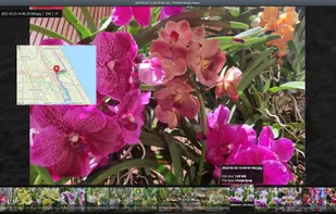 PhotoQt screenshot 1