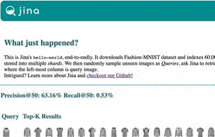 Image to image search