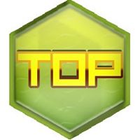Tetris Online Poland icon