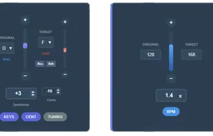 Professional audio controls: Precision speed and pitch sliders with BPM mode, musical key transposition, and per-region audio settings.