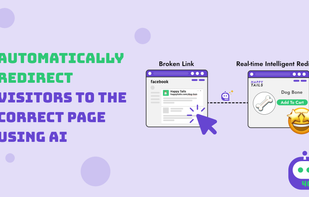 Automatic redirection of visitors