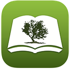 Bible by Olive Tree icon