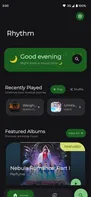 Rhythm Music Player screenshot 1