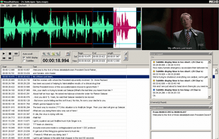 VisualSubSync screenshot 1