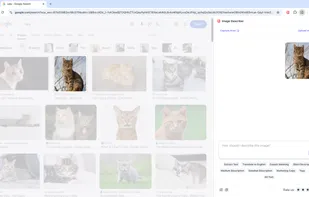 Seamless workflow integration. Use the Chrome Side Panel to describe image AI style directly while browsing, without switching tabs