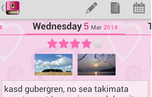 daily diary entry editing view