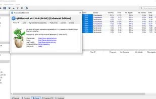 qBittorrent Enhanced Edition screenshot 1