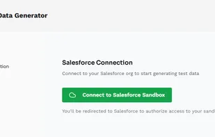 Salesforce connection page with one-click OAuth authorization button