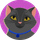 Cat and Kitty Puzzles icon