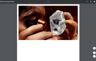 Converted PDF file from JPG image.