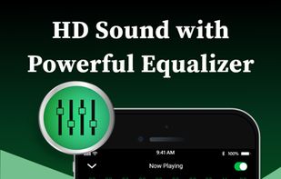Offline Music Player screenshot 2