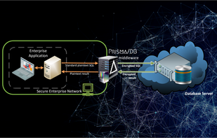Prisma/DB screenshot 1