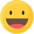 Happierleads icon