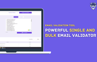 Bulk Email Verification Tool