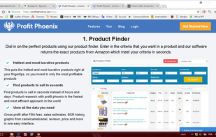 Profit Phoenix screenshot 1