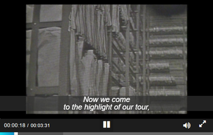 Amalia.js screenshot 1