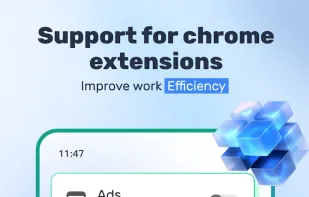 Mask Browser screenshot 1