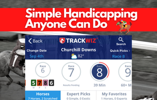 TrackWiz screenshot 2