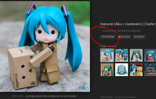 Bring back Google Images button! screenshot 1
