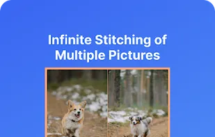 LongPic screenshot 1